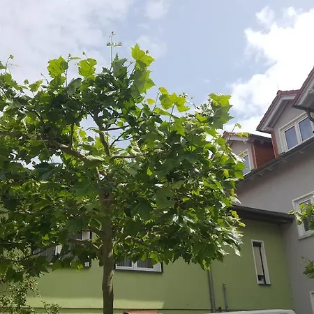 Zechliner Hof Pensjonat