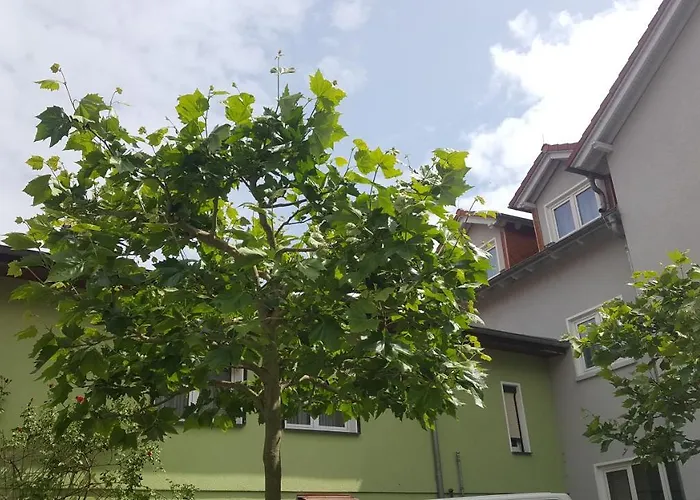 Zechliner Hof Pensionat