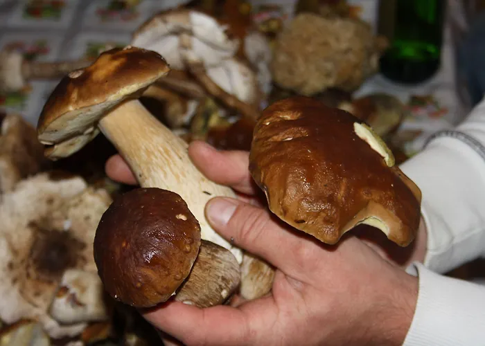 Zechliner Hof 3* Flecken Zechlin